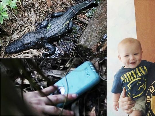 Man Retrieves Apple iPhone from Alligator