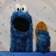 Promotional Teaser Launched By Apple Featuring Siri & Cookie Monster
