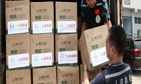 Donation of $1M Done by Apple to Chinese NGO for Flood Relief Efforts Assistance