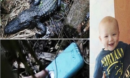 Man Retrieves Apple iPhone from Alligator