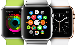 Apple Watches Continues To Grow After 15 Months