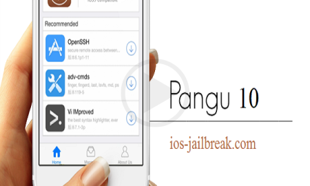 Pangu Users Addressed Unauthorized Access Issue